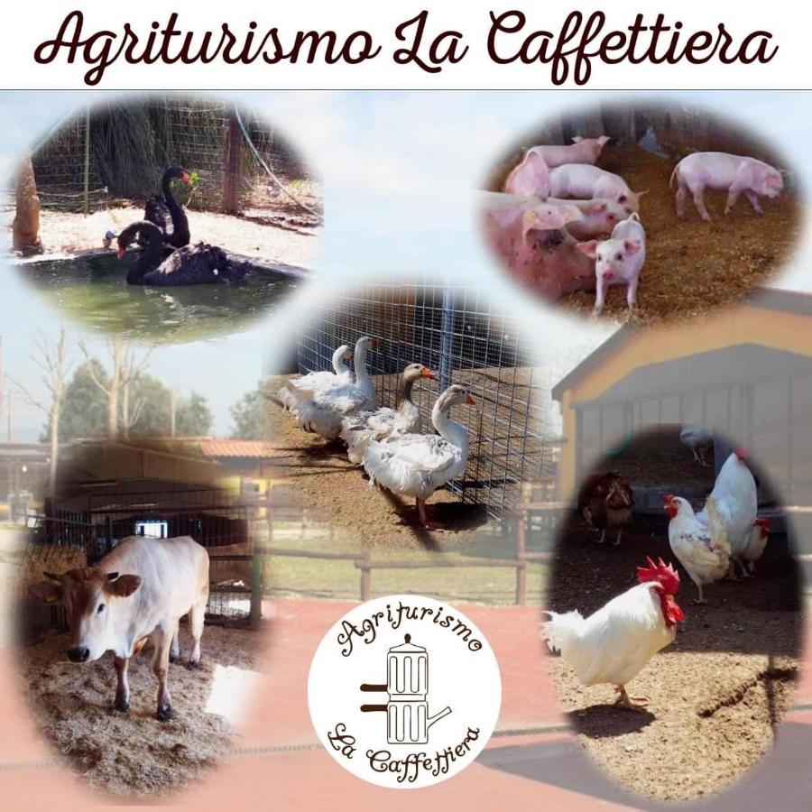 Вилла Agriturismo La Caffettiera Sparanise Экстерьер фото